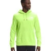 'The North Face' Men's Box NSE Pullover Hoodie - Sharp Green 2 'The North Face' Men's Box NSE Pullover Hoodie - Sharp Green -Sports Fashion Store NF0A4761 HDD back 1024x1024@2x